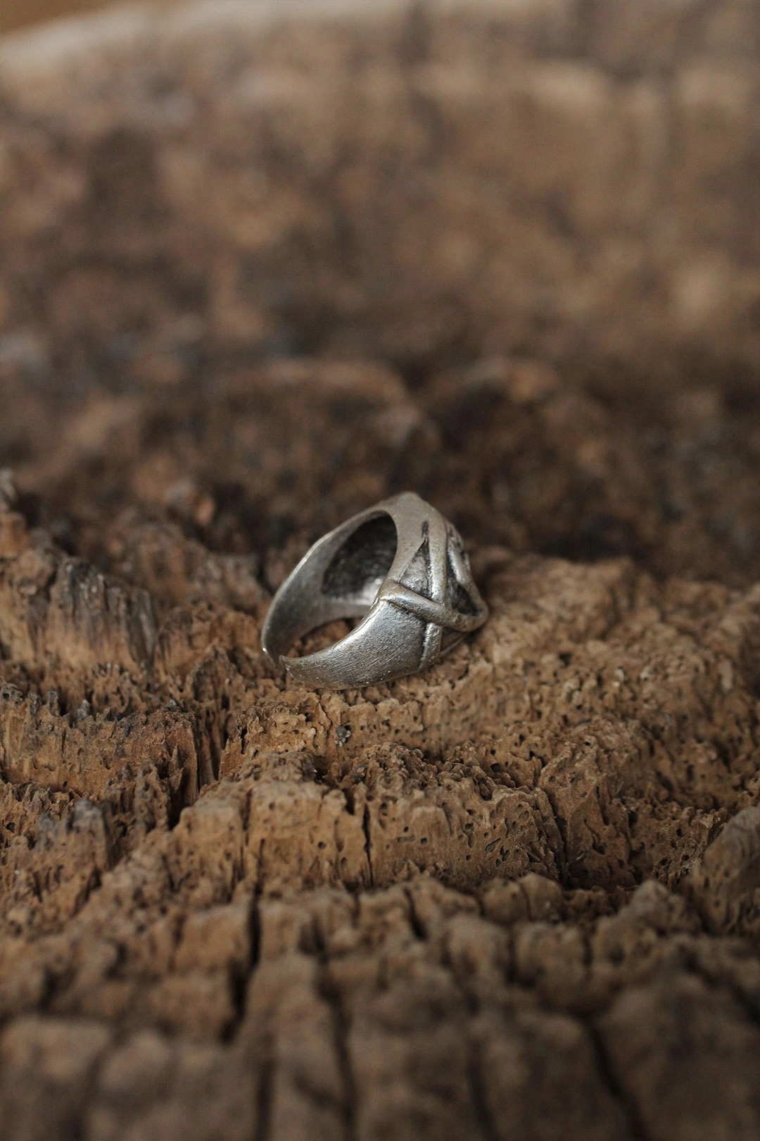 Ayarlanabilir Kuru Kafa Tasarımlı Erkek Yüzük