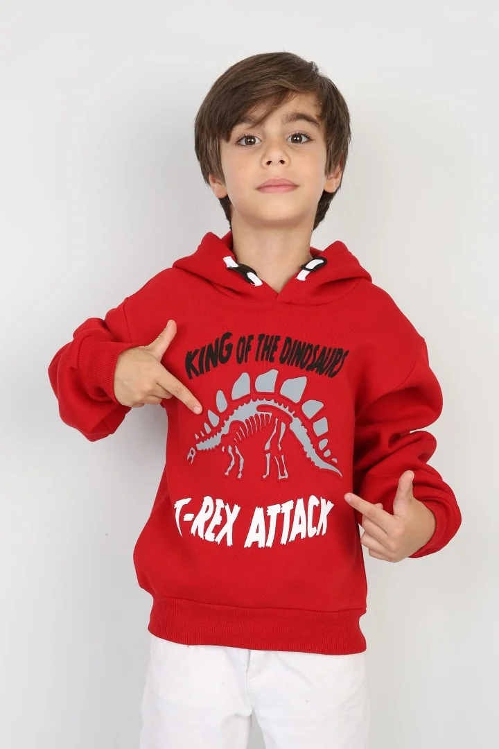 Üç İplik Şardonlu Baskılı Kapşonlu Erkek Çocuk Günlük Sweatshirt