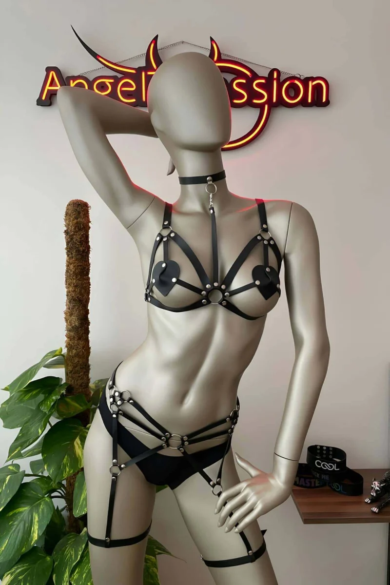 Deri Jartiyer Siyah Harness Takım - Brf451