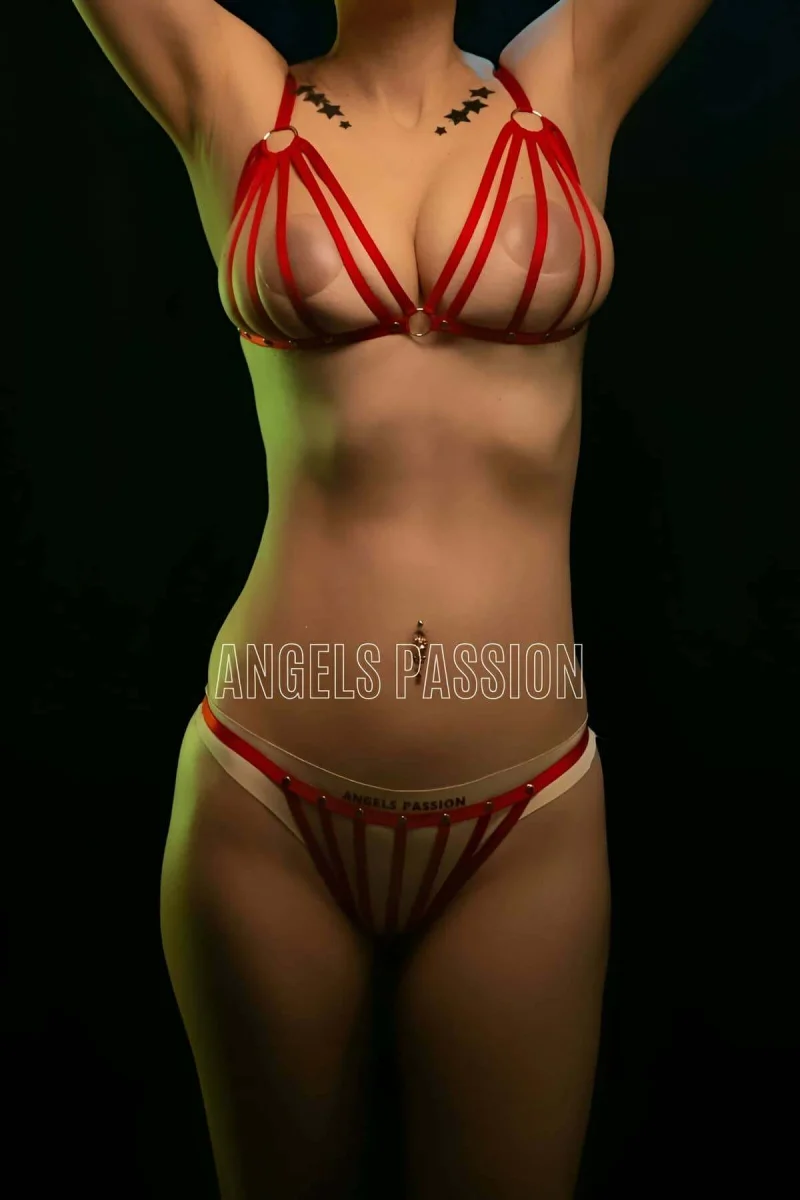 Lastik Harness Sütyen Külot Takım - Brf555