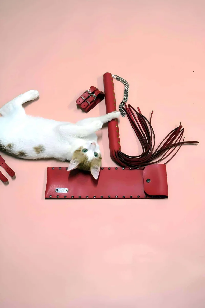 Kırbaç - Kelepçe Set, Kırbaç Takım, Fantezi Kelepçe Takım - Brf1304