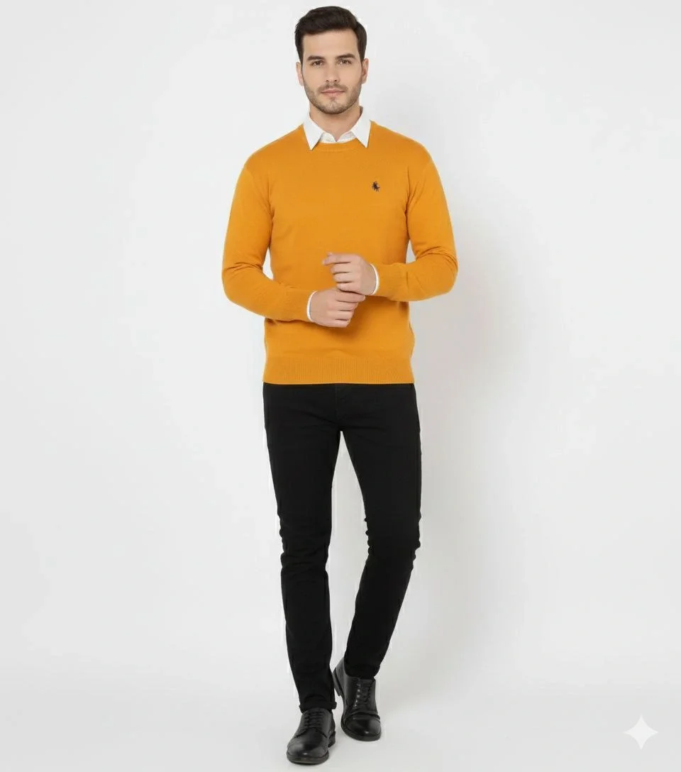 Bisiklet Yaka Nakış işlemeli Triko Kazak yumuşak dokulu Pamuklu ince Dokuma, uzun kollu Rahat Regular kalıp - Turuncu