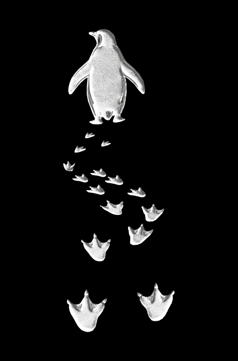 Erkek Nihilist Penguen Temalı Oversize Kapüşonlu Sweatshirt - Siyah