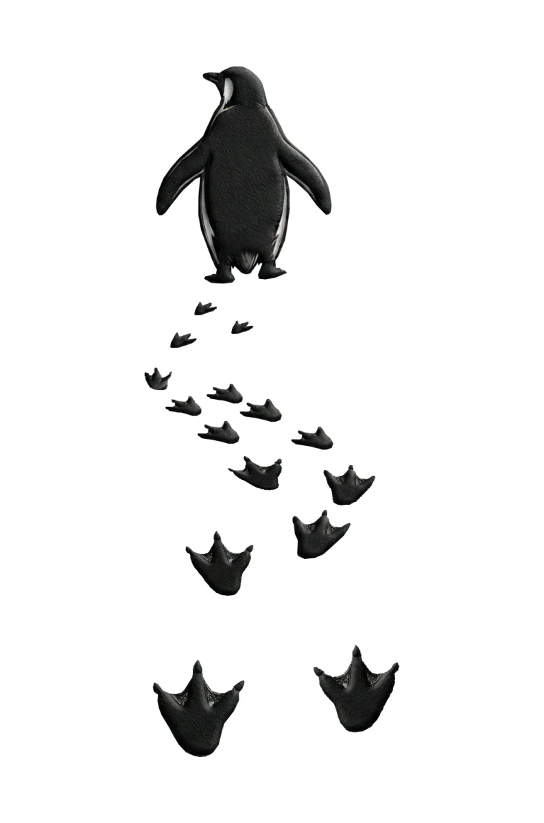 Kadın Nihilist Penguen Temalı Oversize Bisiklet Yaka Tişört - Beyaz