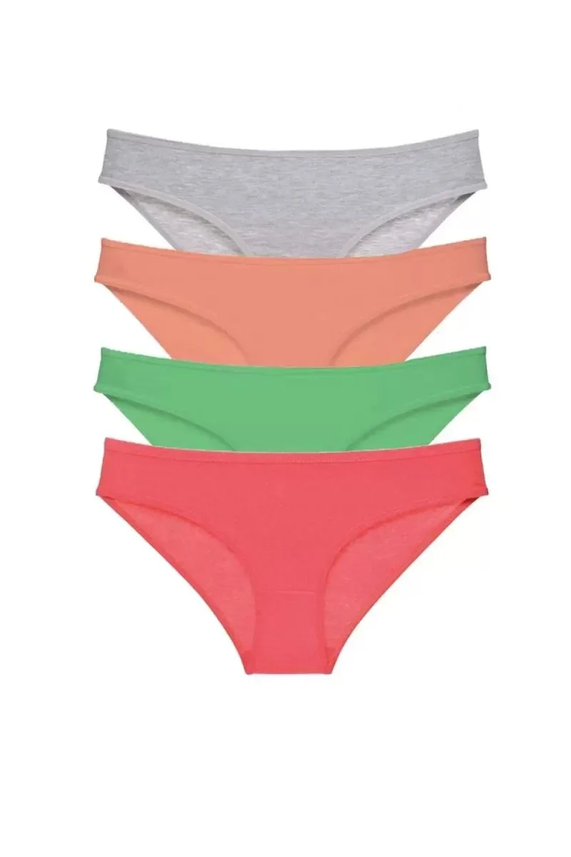 4 Adet Süper Eko Set Likralı Kadın Slip Külot Gri Pudra Yeşil Fuşya